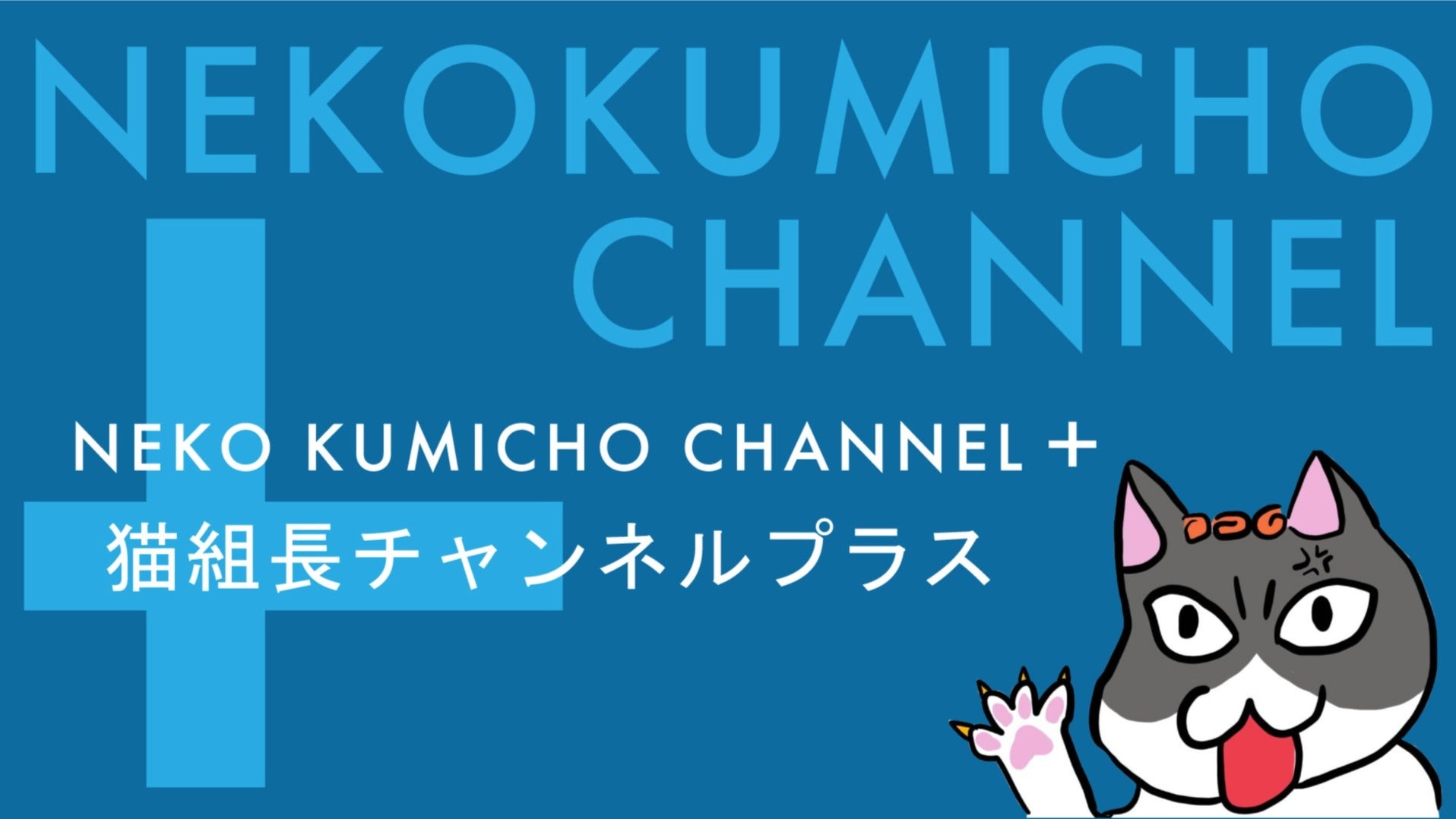 猫組長 nekokumicho 6時間6時間前 その他 詳細まだですか